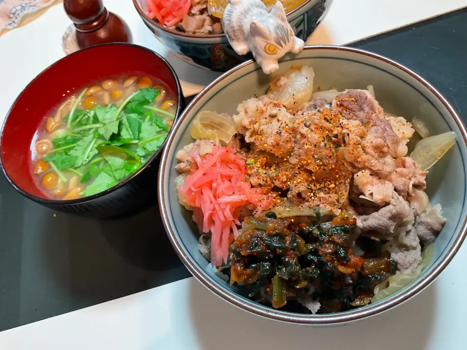 Snapdishの料理写真:手作り牛丼と豆腐とナメコのお味噌汁　トッピングは紅生姜と長野のはんごろしキムチ|Takeshi  Nagakiさん