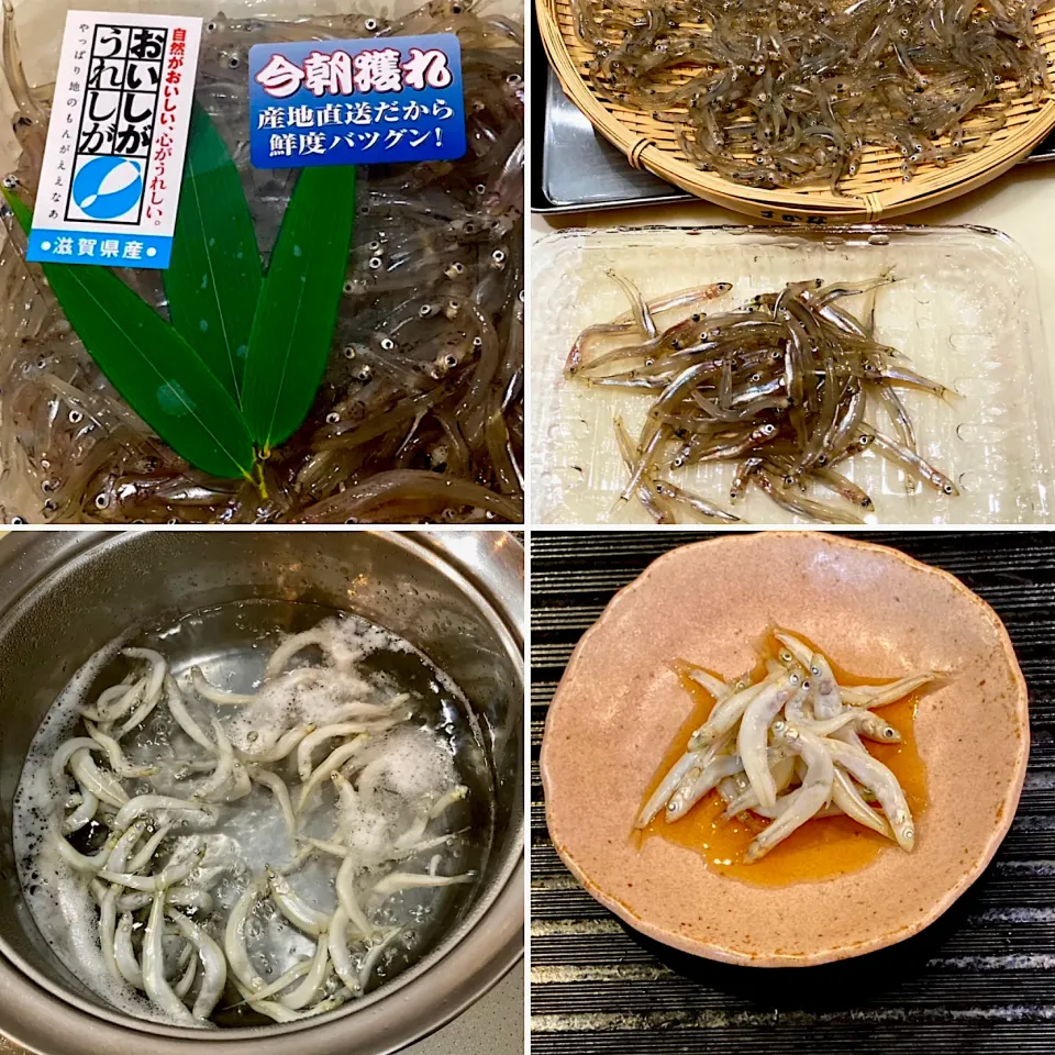 琵琶湖の冬の味覚　氷魚の釜揚げ|ドルフの美味しい家庭料理さん