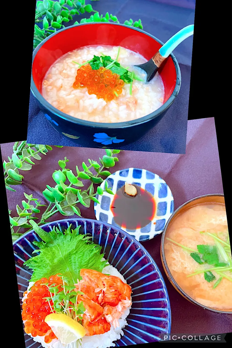 Snapdishの料理写真:親子丼（旦那用）&親子粥（私用）|オーロラさん