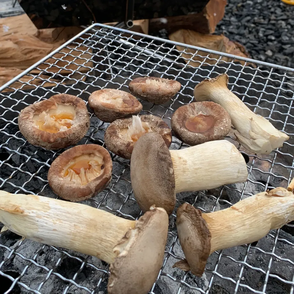 キャンプ飯⛺️きのこ焼いただけ|とももさん