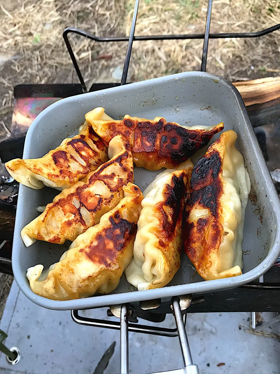 焼き餃子|deekay71さん