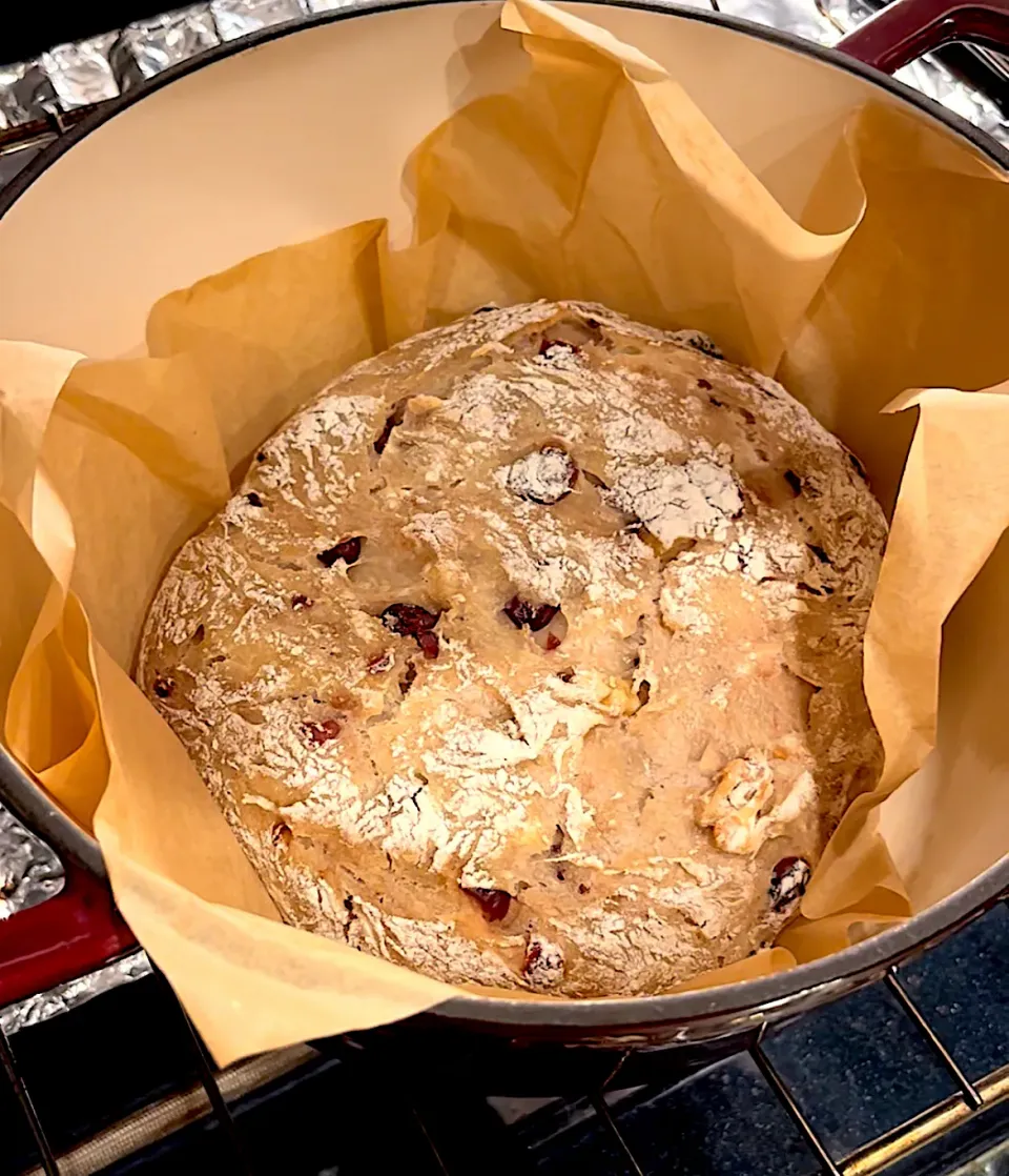 Snapdishの料理写真:Cranberry walnut boule bread|🌺IAnneさん