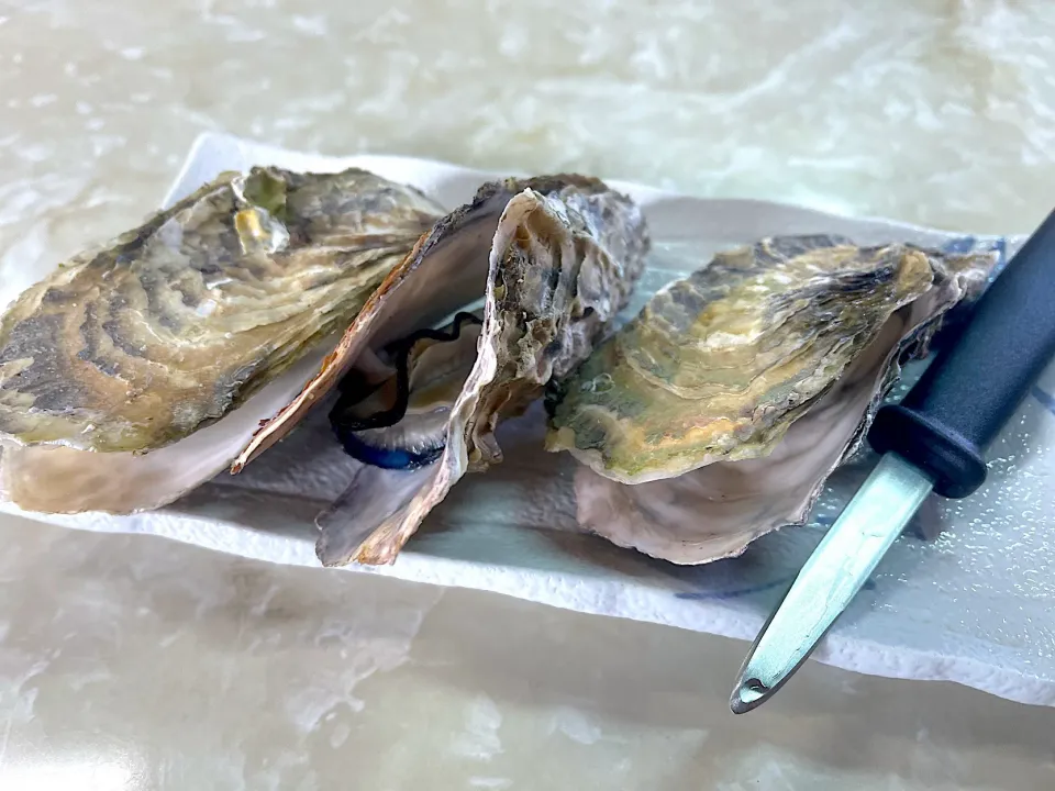 Snapdishの料理写真:Boiled oyster|yeni kartikasariさん