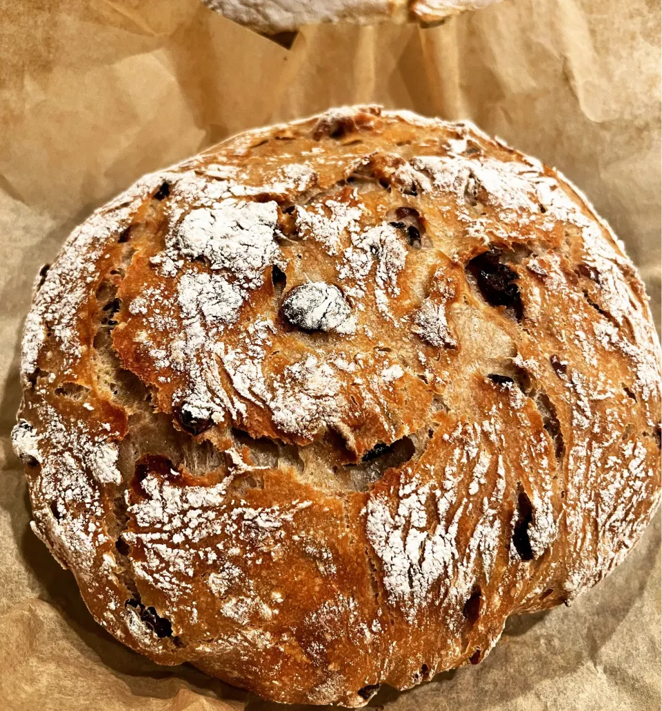 Cranberry walnut boule|🌺IAnneさん