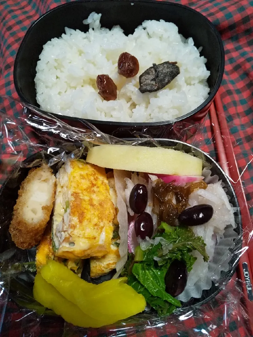 Snapdishの料理写真:お弁当|由紀子さん