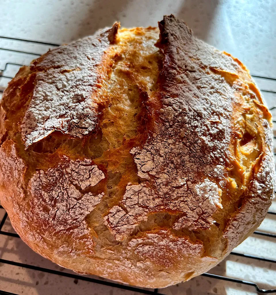 Homemade Rustic bread|🌺IAnneさん