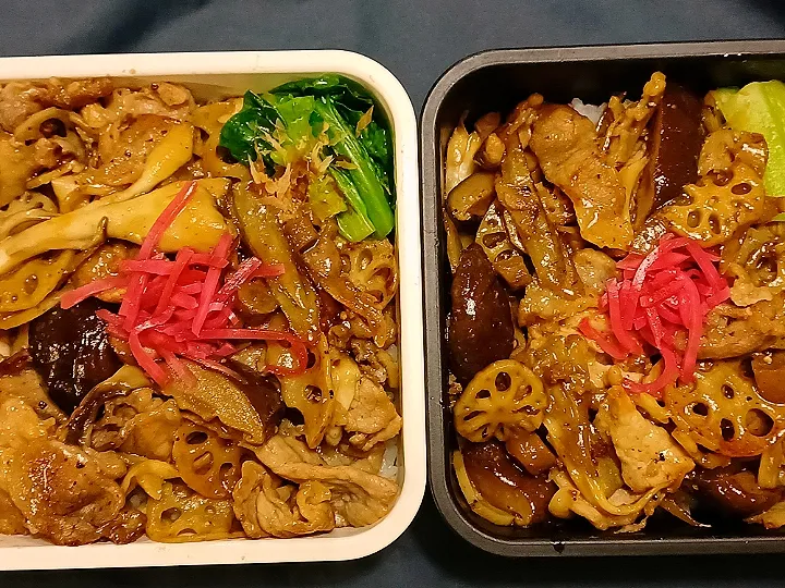 Snapdishの料理写真:豚牛蒡蓮根弁当|ぱいんてーるさん