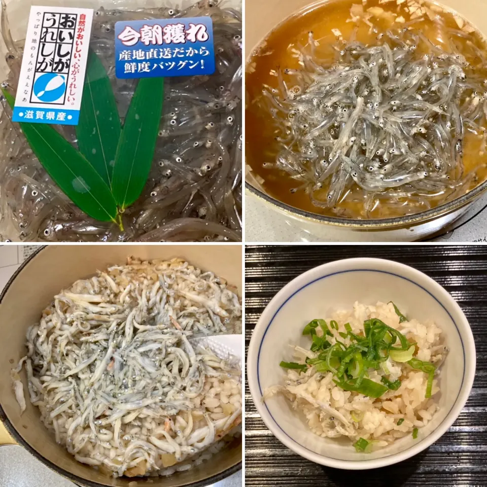 琵琶湖の冬の味覚　氷魚ご飯|ドルフの美味しい家庭料理さん