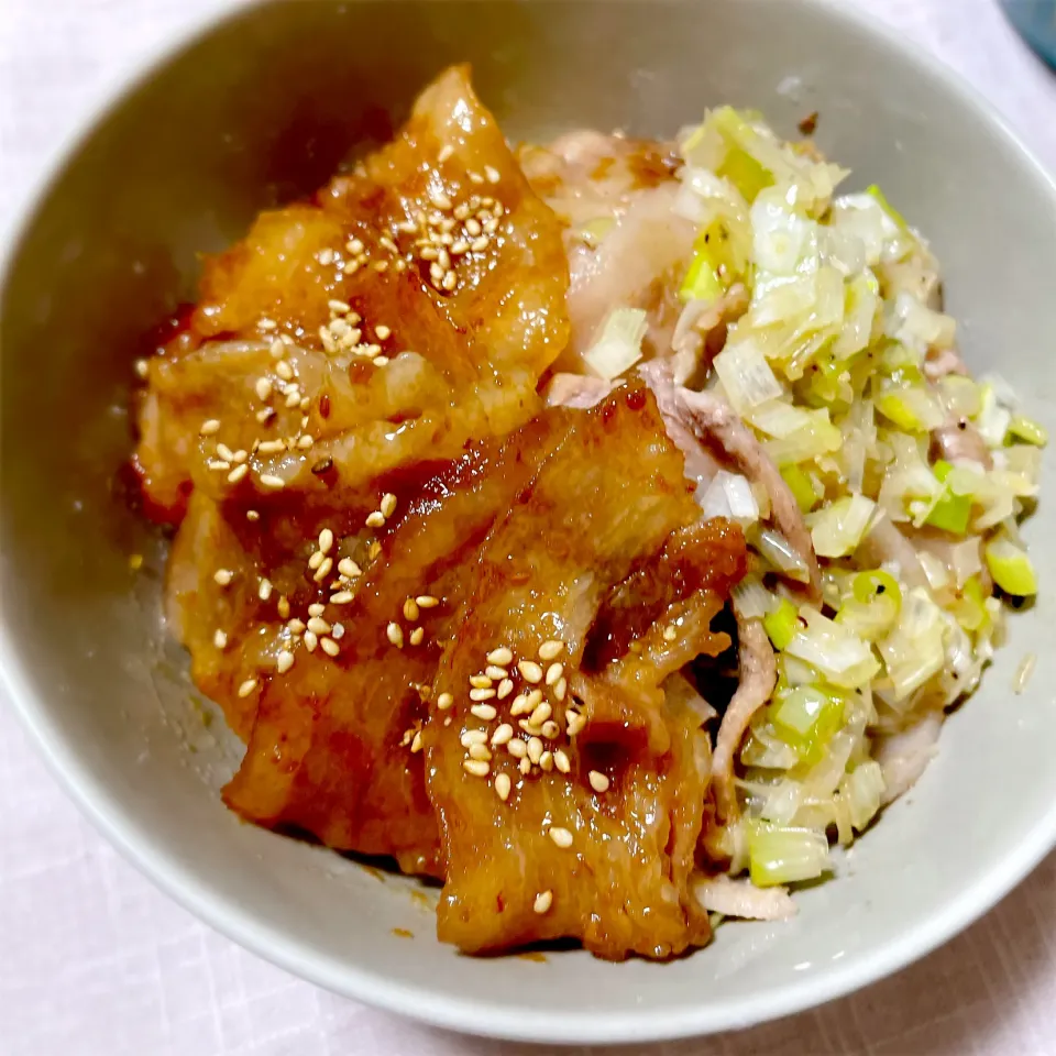 肉の日に！2つの味のW豚丼|Toyさん