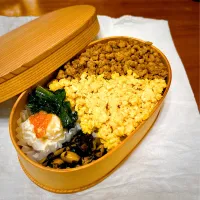 Snapdishの料理写真:2021.02.10 そぼろ弁当|みほさん