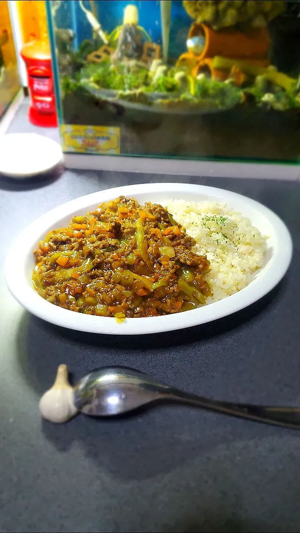 Snapdishの料理写真:セロリたっぷりキーマカレー🇮🇳|masaki .fさん