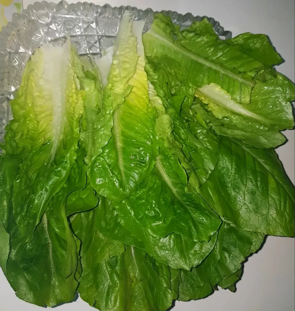 fresh lettuce|patcookingfeverパットさん