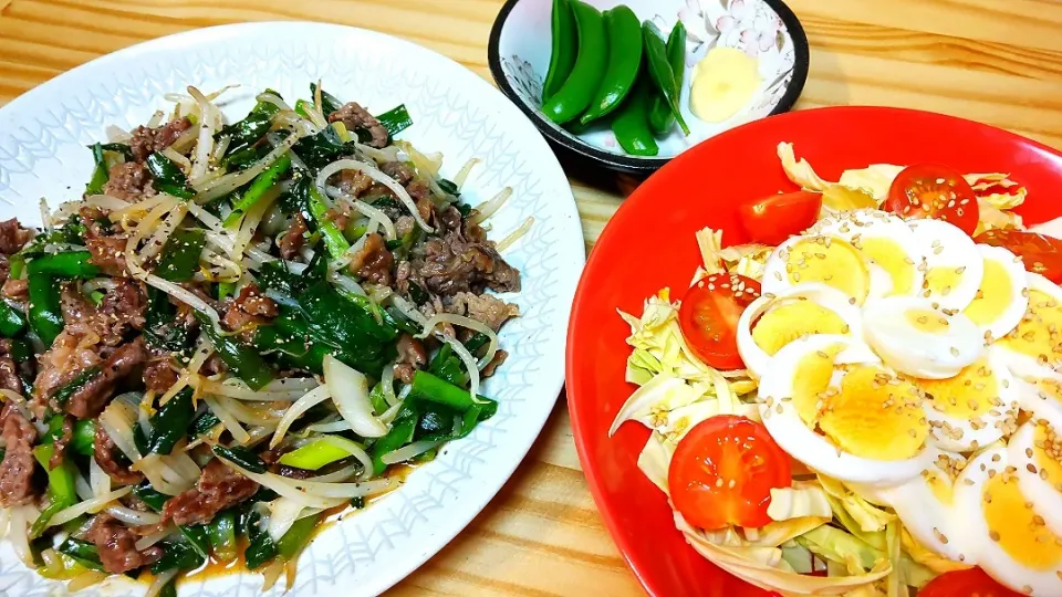 牛肉とにらもやしねぎ炒め
スナップエンドウ
サラダ|ひろゴーヤさん