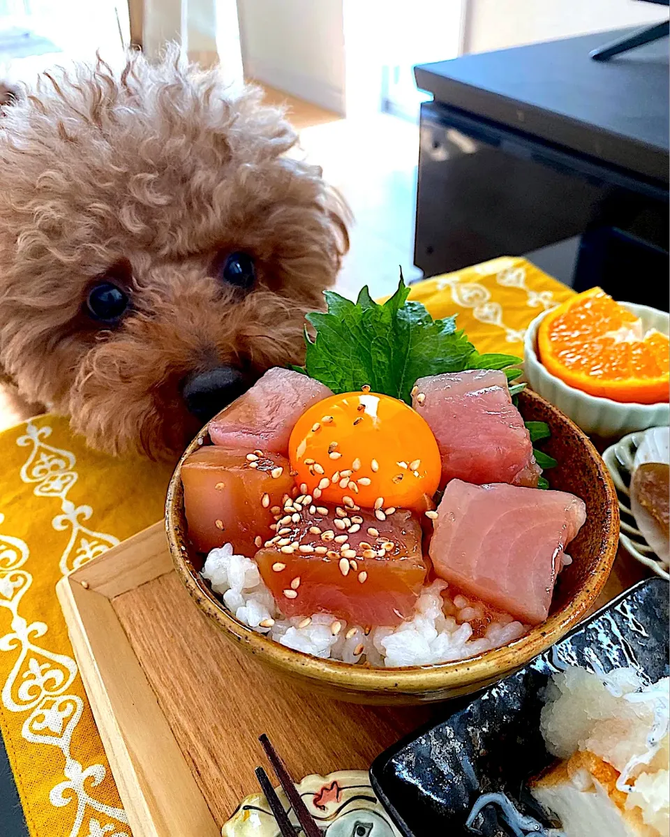 Snapdishの料理写真:ゆかりさんの料理 漬け丼😋|ゆかりさん