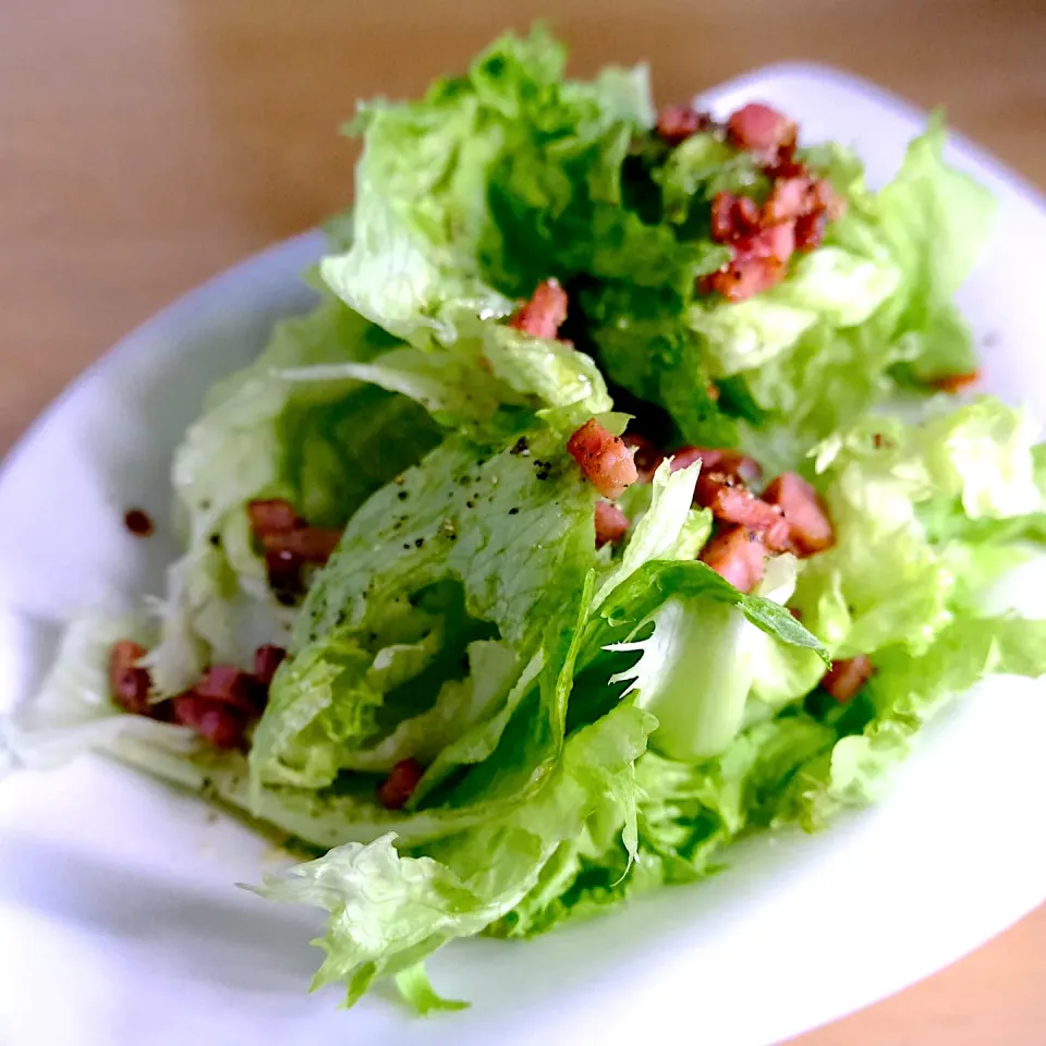 レタスだけサラダ🥗|しろくまさん