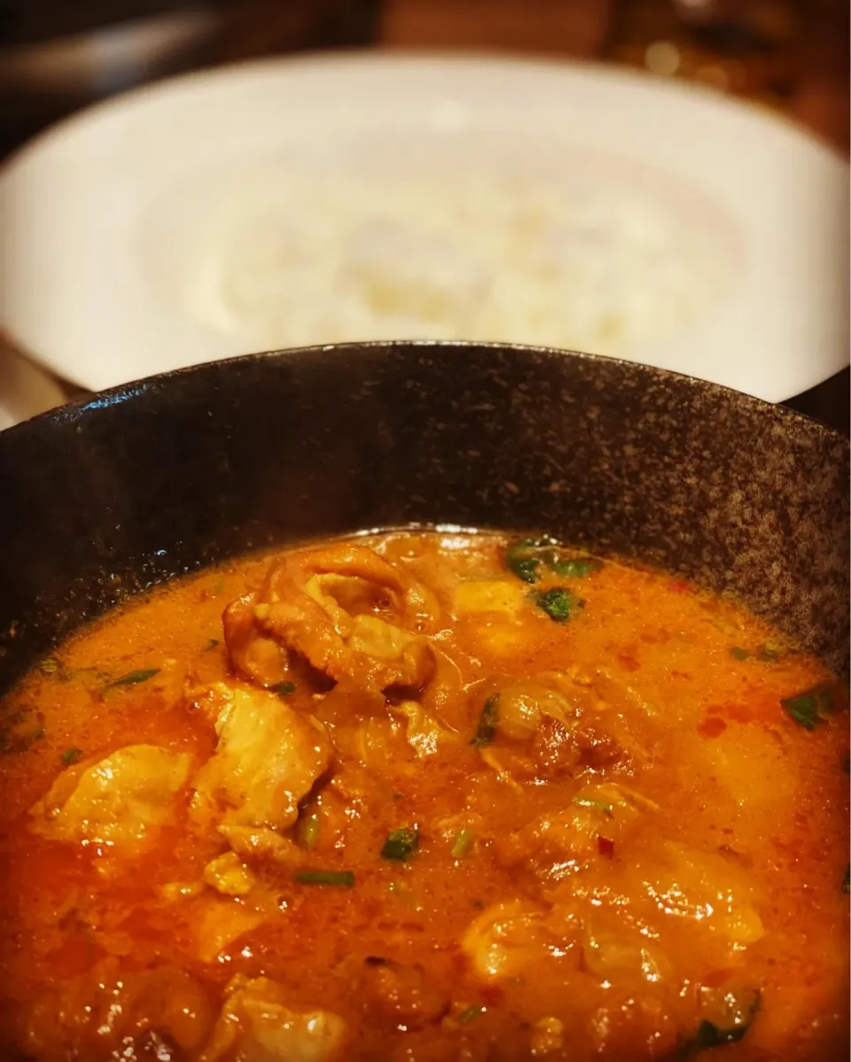 Hot & Spicy Week 
Chicken Curry cooked in Coconut Milk with fresh Coriander & Steamed Rice 
#coconutcurry 
#chickencurry 
#homecooking 
#homemade 
#chefemanuel |Emanuel Hayashiさん