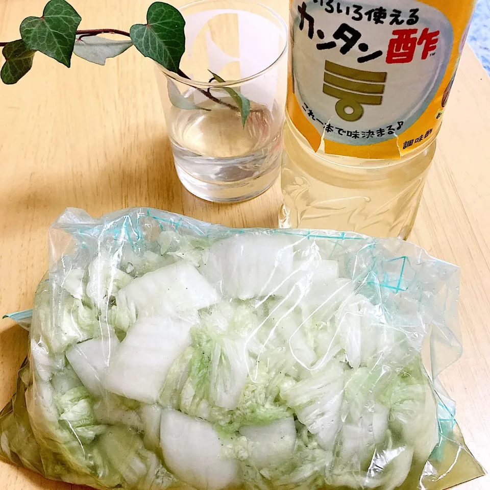 こんぶ茶の白菜甘酢漬け|akkoさん