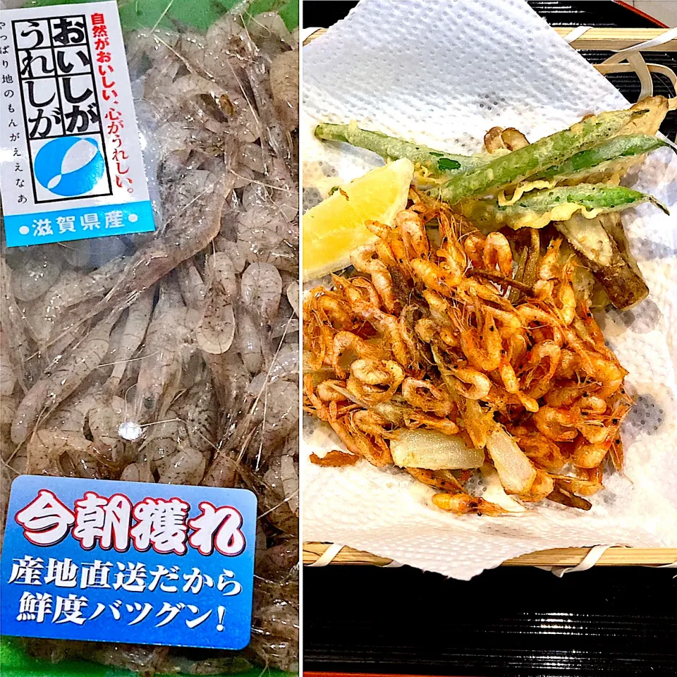 滋賀県産　琵琶湖の美味しい「すじえび」のかき揚げ|ドルフの美味しい家庭料理さん