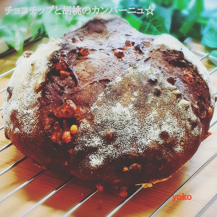 チョコチップと胡桃のカンパーニュです。|容子さん