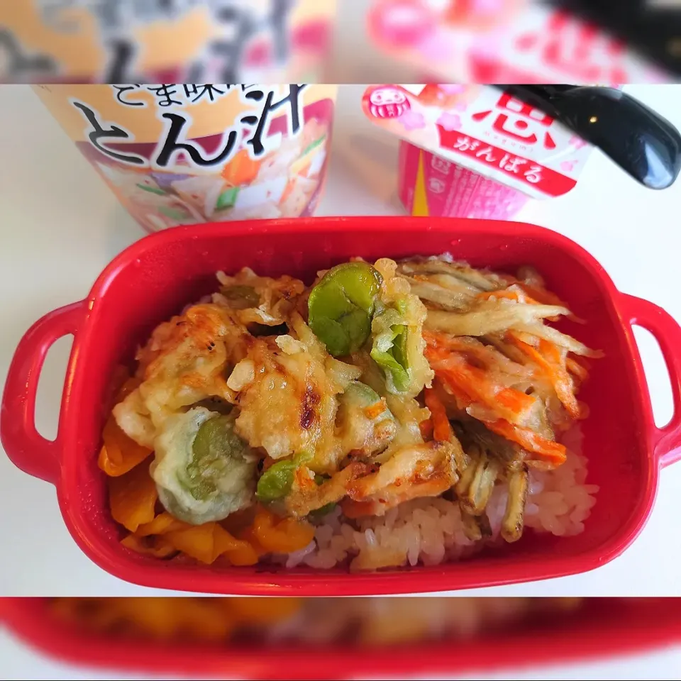 ★今日のお弁当★

✴️そら豆と桜えびのかき揚げ丼|☆Chieco☆さん