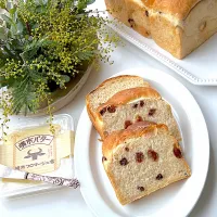 Snapdishの料理写真:バレンタインなのに、何にも作らず…罪滅ぼしのチョコとレーズンの黒糖食パン🍞