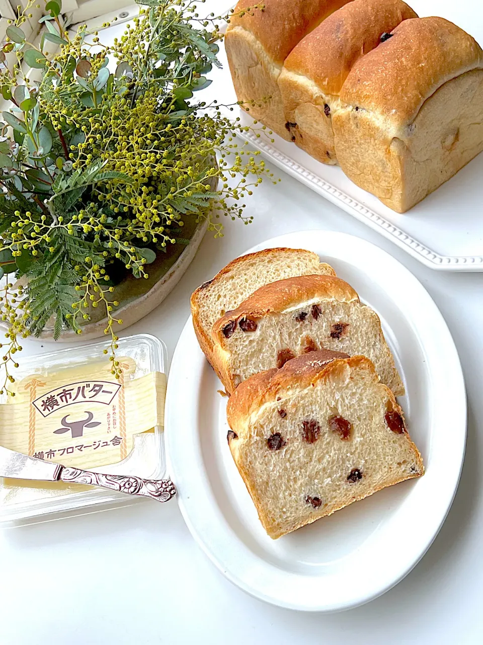 バレンタインなのに、何にも作らず…罪滅ぼしのチョコとレーズンの黒糖食パン🍞|M.Mさん