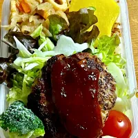 Snapdishの料理写真:ハンバーグのお弁当|sudachiさん