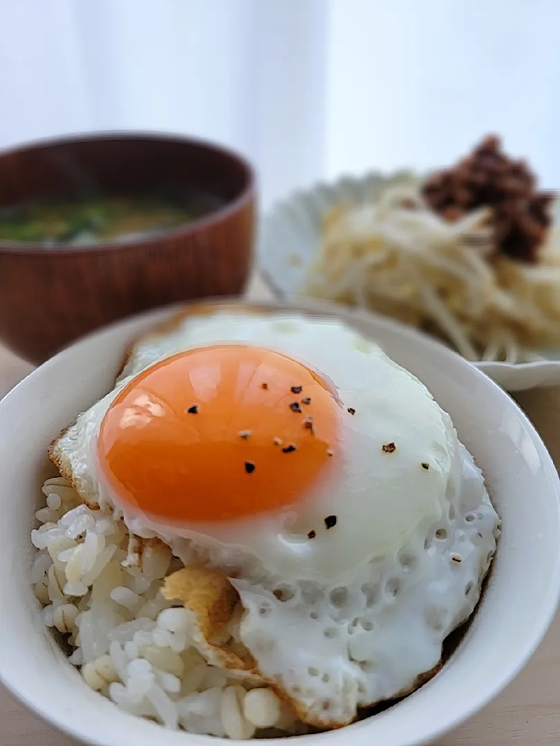 私の好きな動画さんが久しぶりに投稿💛

真似して　目玉焼きごはん　🍳|みるくここあさん