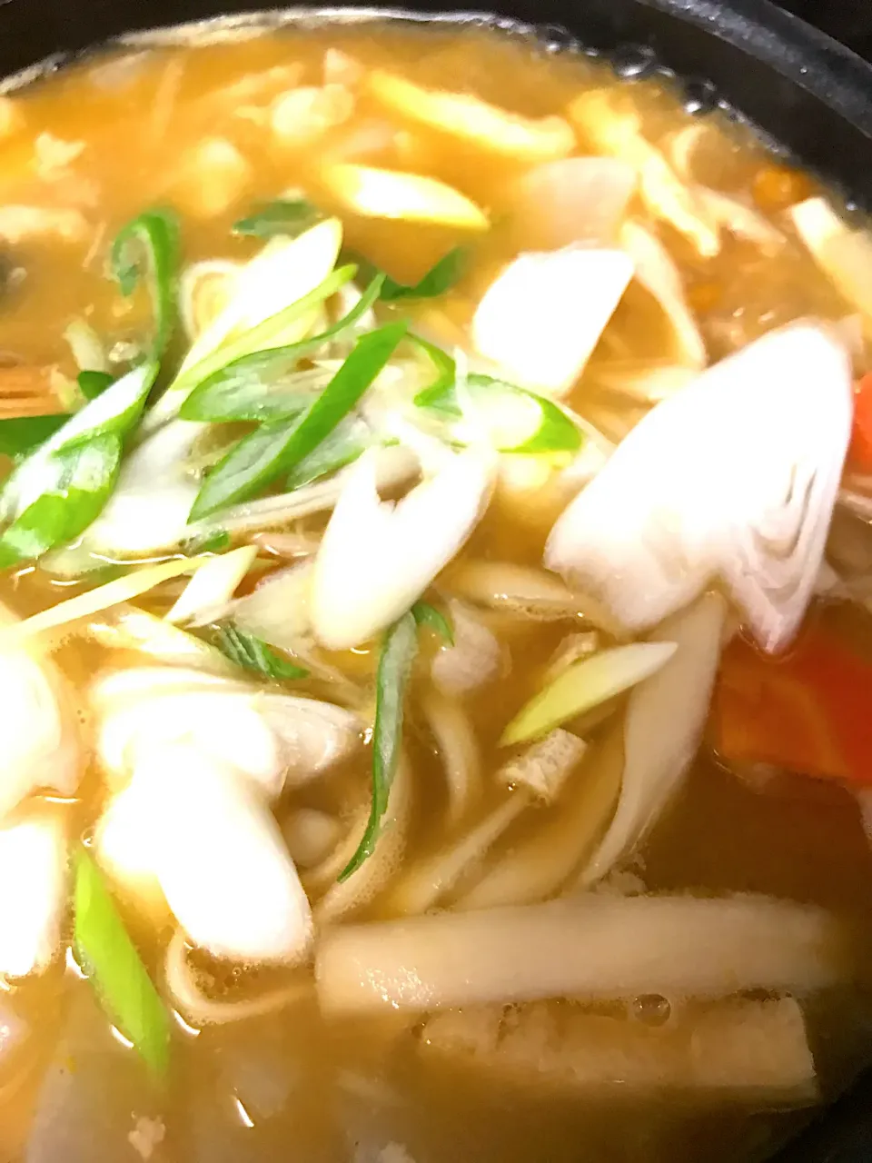 深谷ねぎ乗せ、ほうとううどん|きょうさん