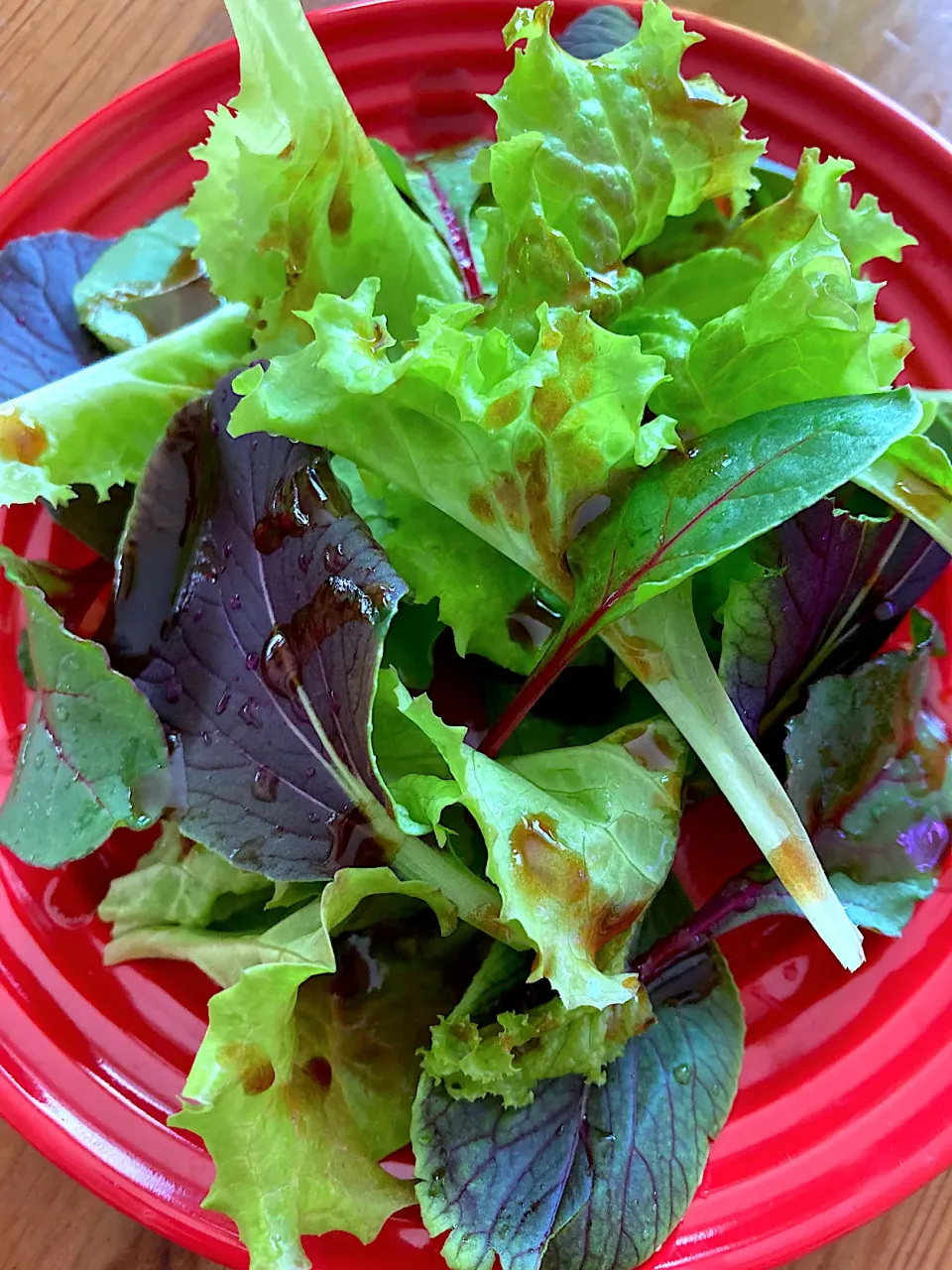 家庭菜園ベビーリーフのサラダ🥗|アイさん