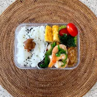 卵焼き、海老とピーマンの炒め物、肉巻きチーズ、ほうれん草、ミニトマト