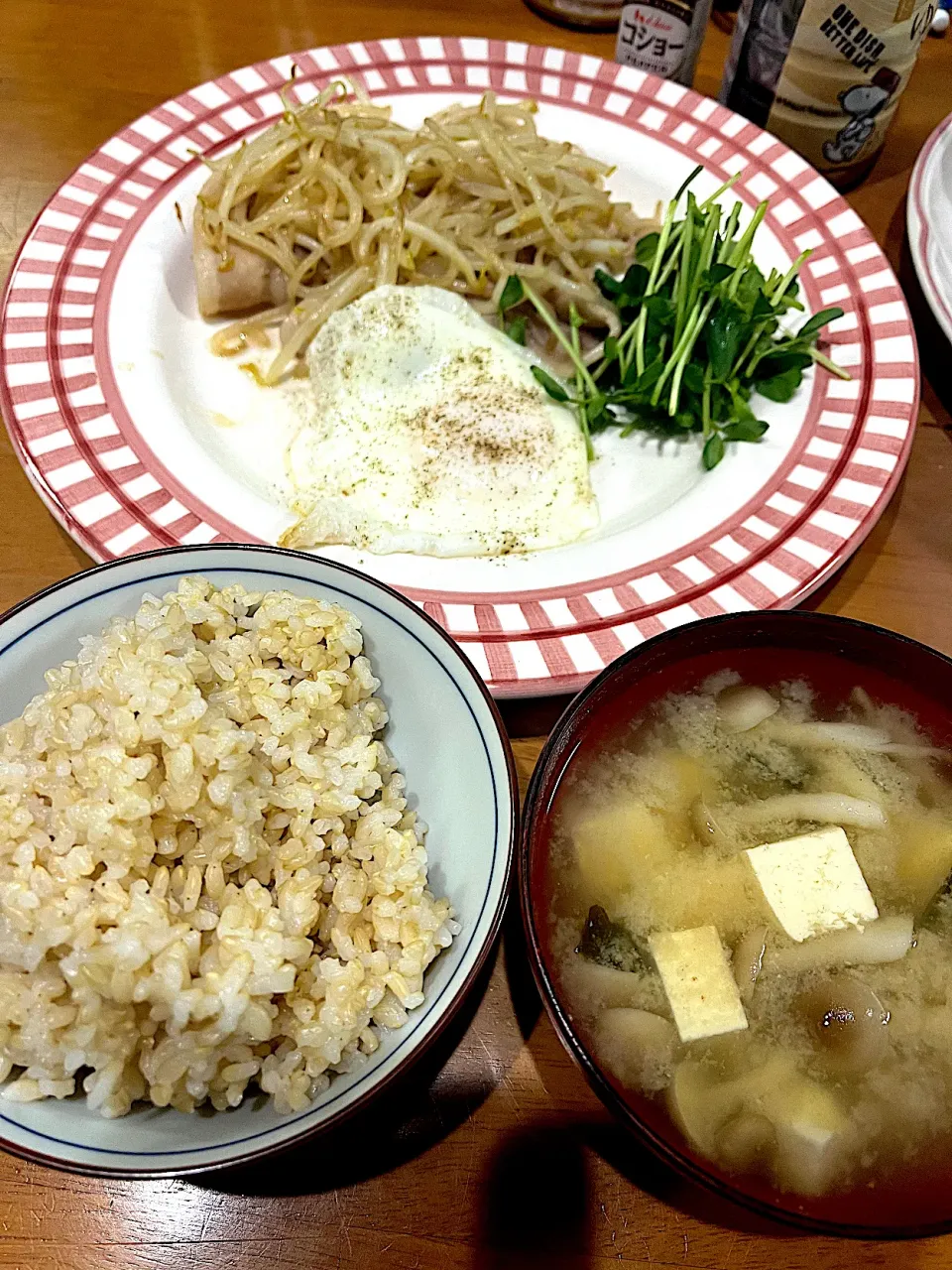 夜の #夕飯　あきたこまち玄米ご飯、目玉焼き(ターンオーバーじゃないやつ)、豆苗(マヨで)、肉もやし炒め、豆腐キノコ味噌汁|ms903さん