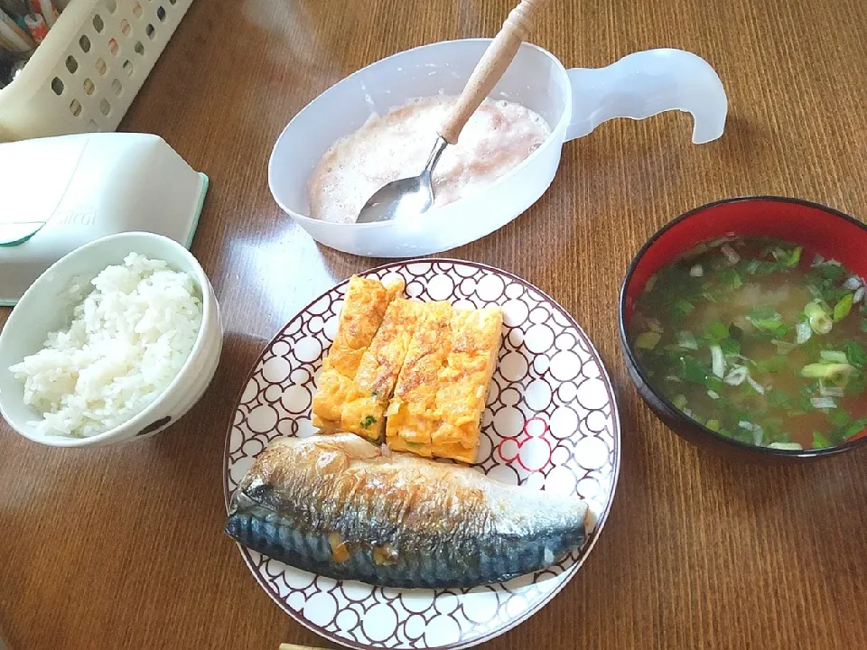 朝ごはん
塩サバ
卵焼き
とろろ
味噌汁|尚さん