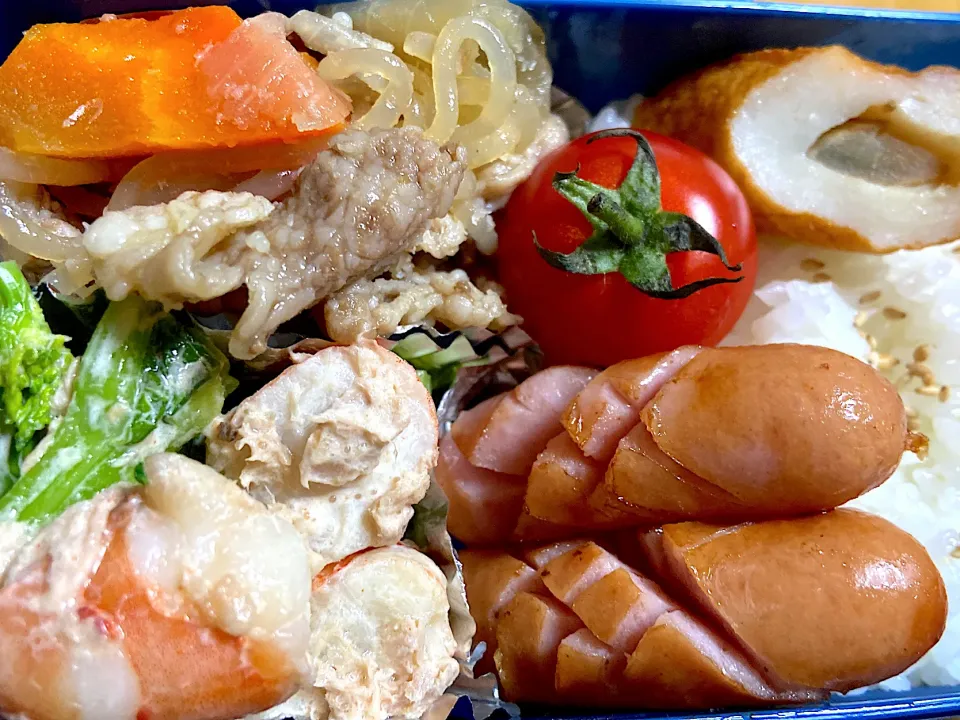 本日の作り置き弁当🍱|サチ😊さん