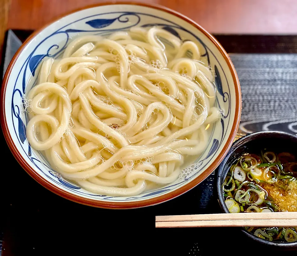 釜揚げうどん|にゃあ（芸名）さん