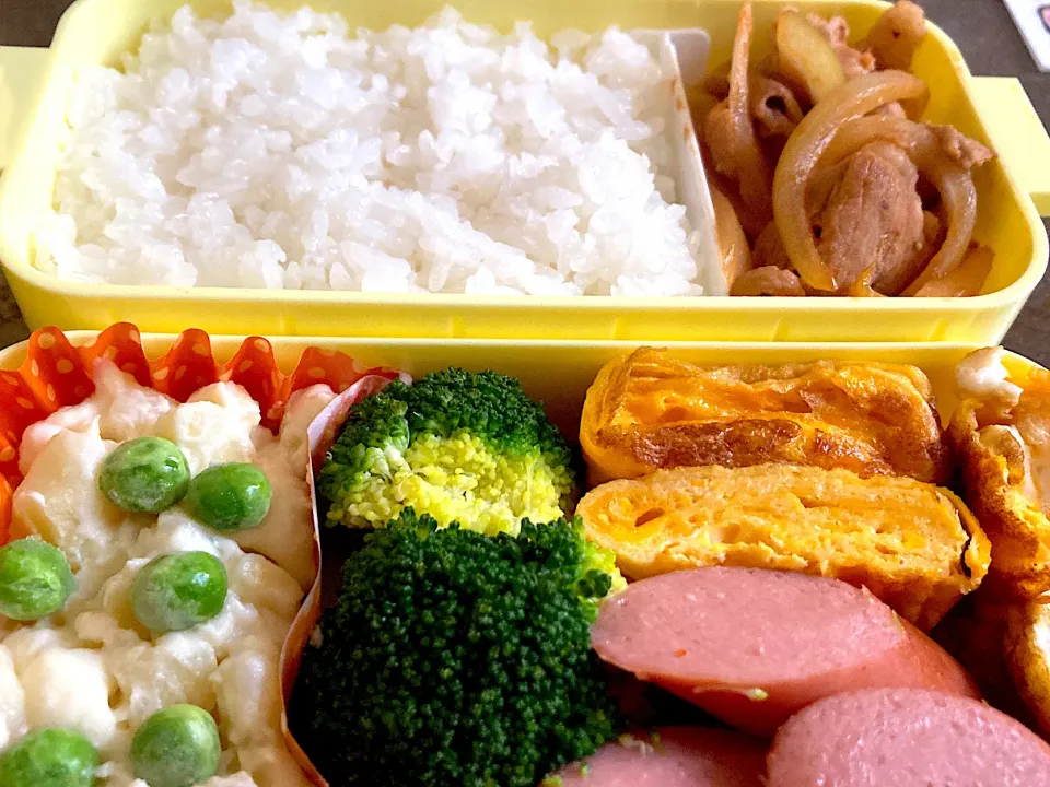 ポークチャップ弁当|料理嫌いを直したいさん