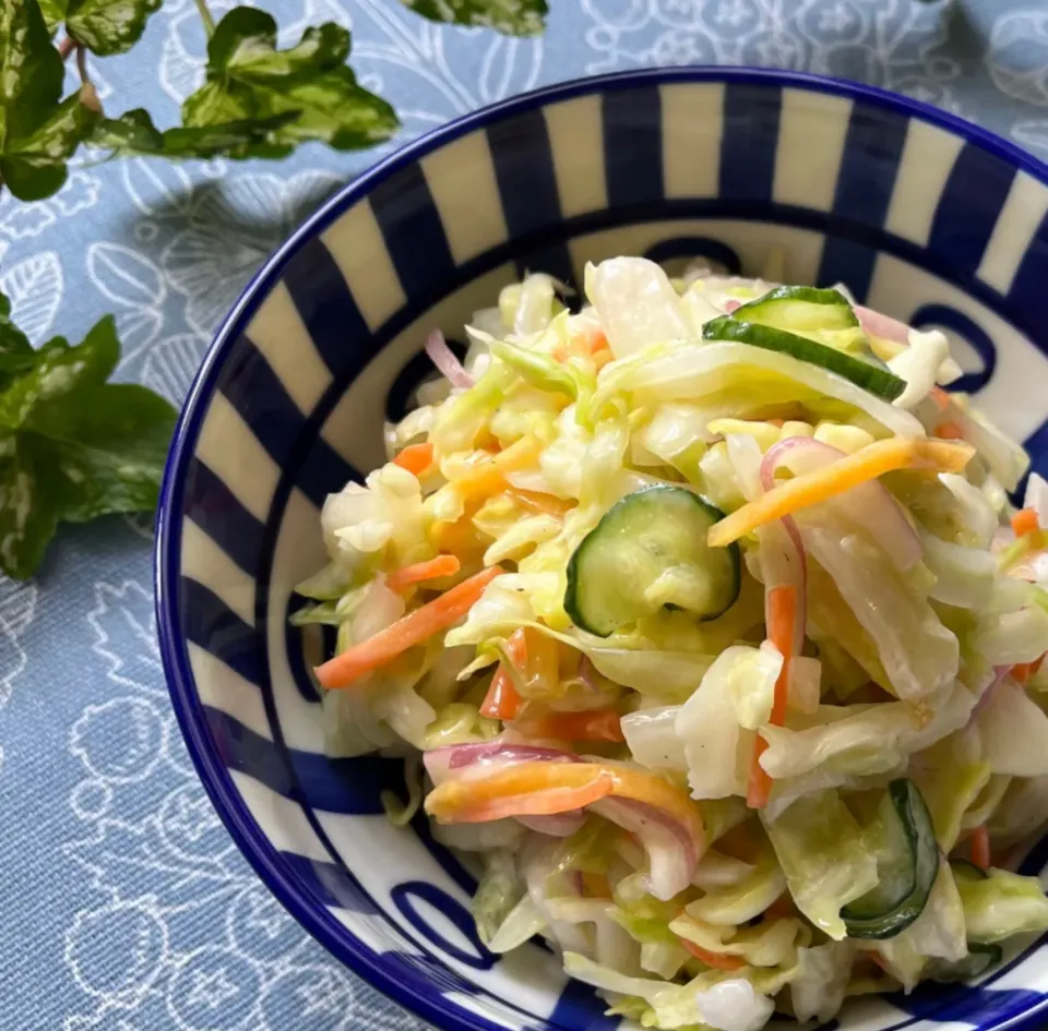 Snapdishの料理写真:🥬白菜入り シャキシャキ食感が楽しい柚子とレモン香るヨーグルトベースのコールスロー🥗|Hollyさん