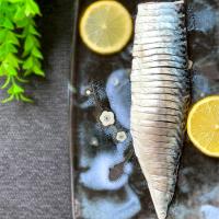 釣り魚🎣和歌山ラングイの寒サバでシメサバ