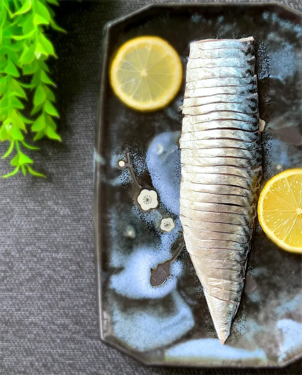 釣り魚🎣和歌山ラングイの寒サバでシメサバ|9421beruさん