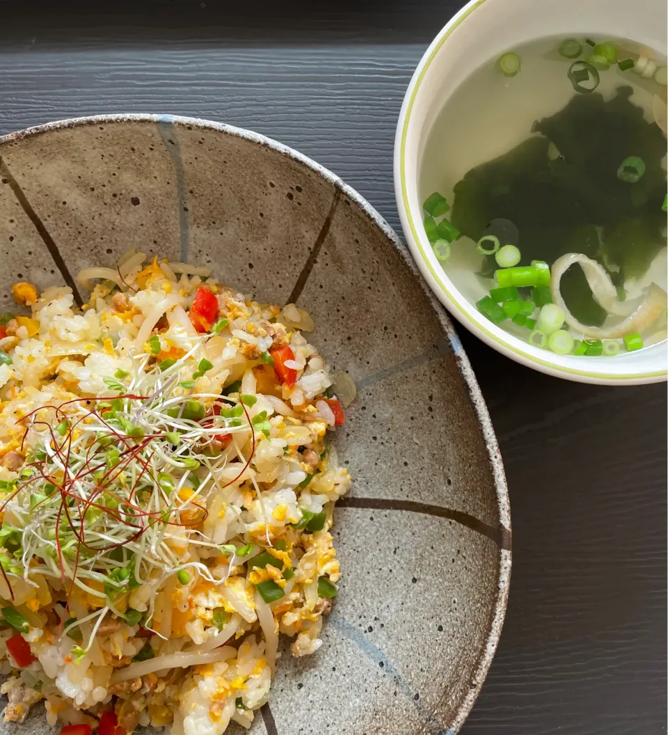 ダイズのお肉ミンチタイプと鮭フレーク、卵の炒飯💕|てるみさん