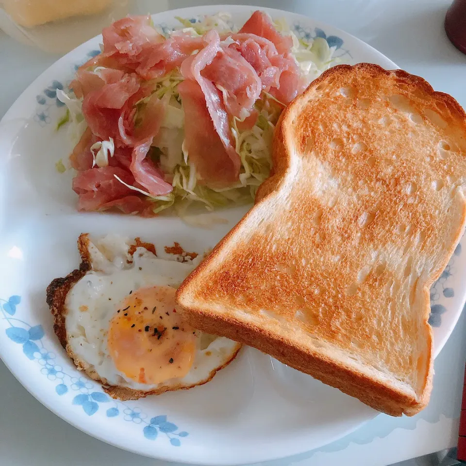 お昼ご飯|まめさん