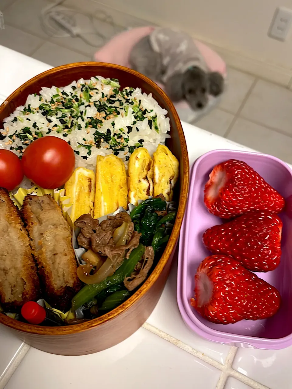 コロッケと野菜炒め弁当|雑草シェリーさん