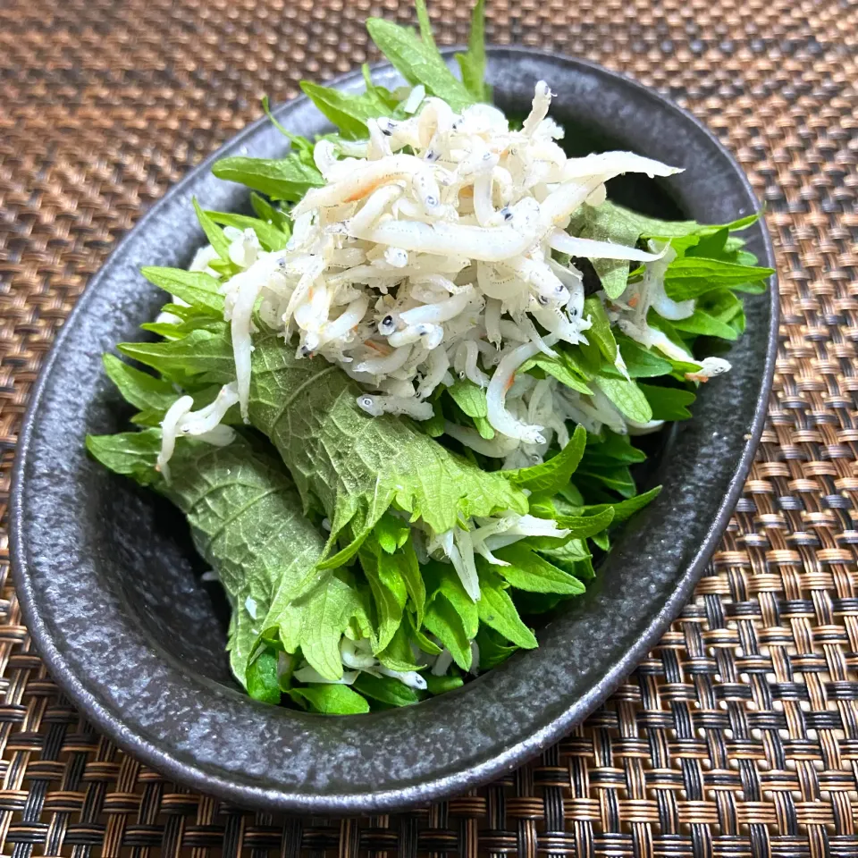 Snapdishの料理写真:海苔の佃煮としらすの大葉巻き|ス〜さんさん