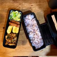 弁当生活166日目