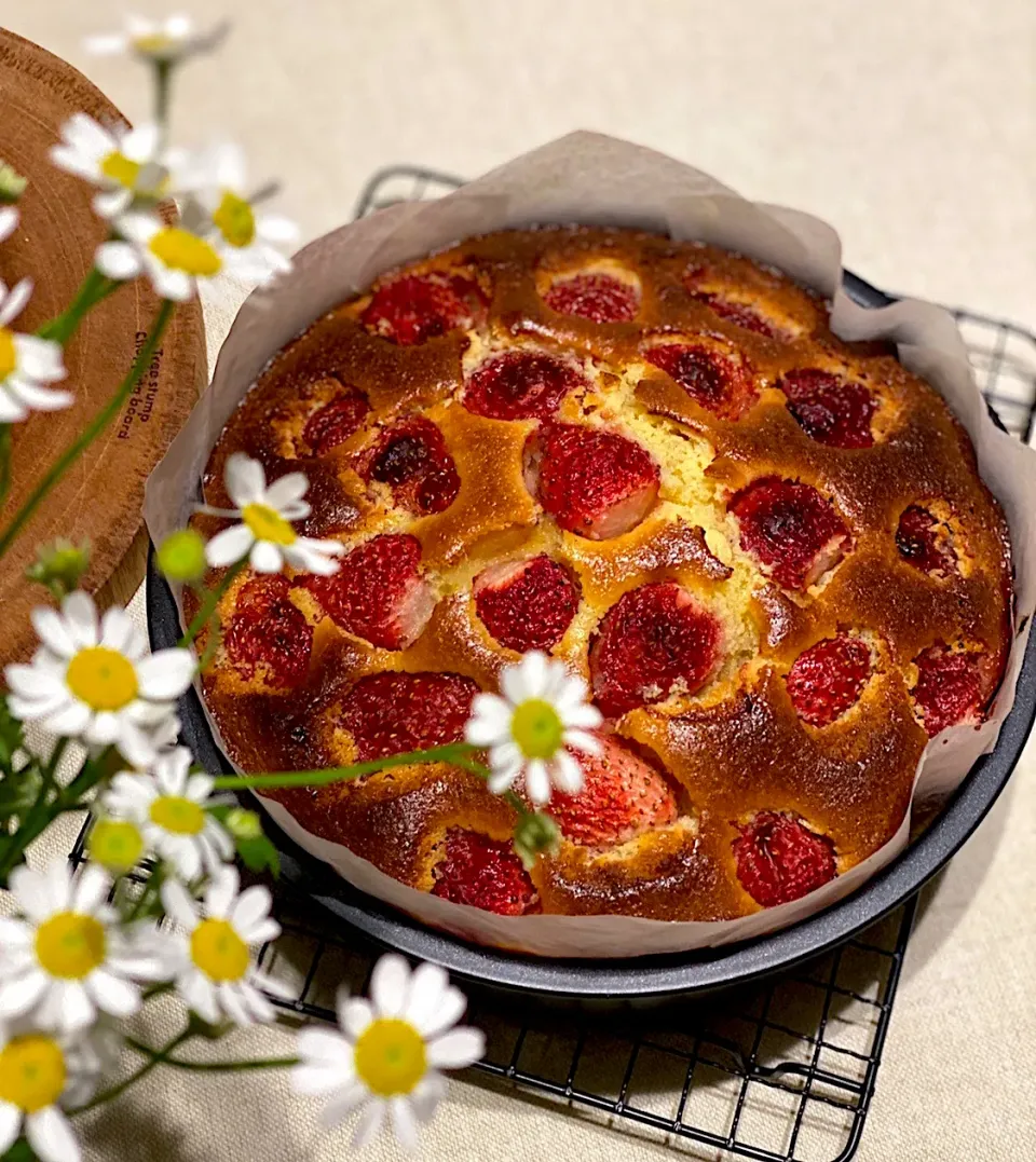 フレッシュいちごのバターケーキ🍓                   ひなまつり🎎用|なのこさん