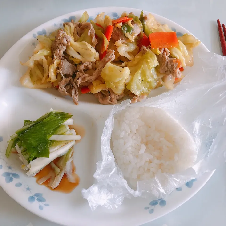 お昼ご飯|まめさん