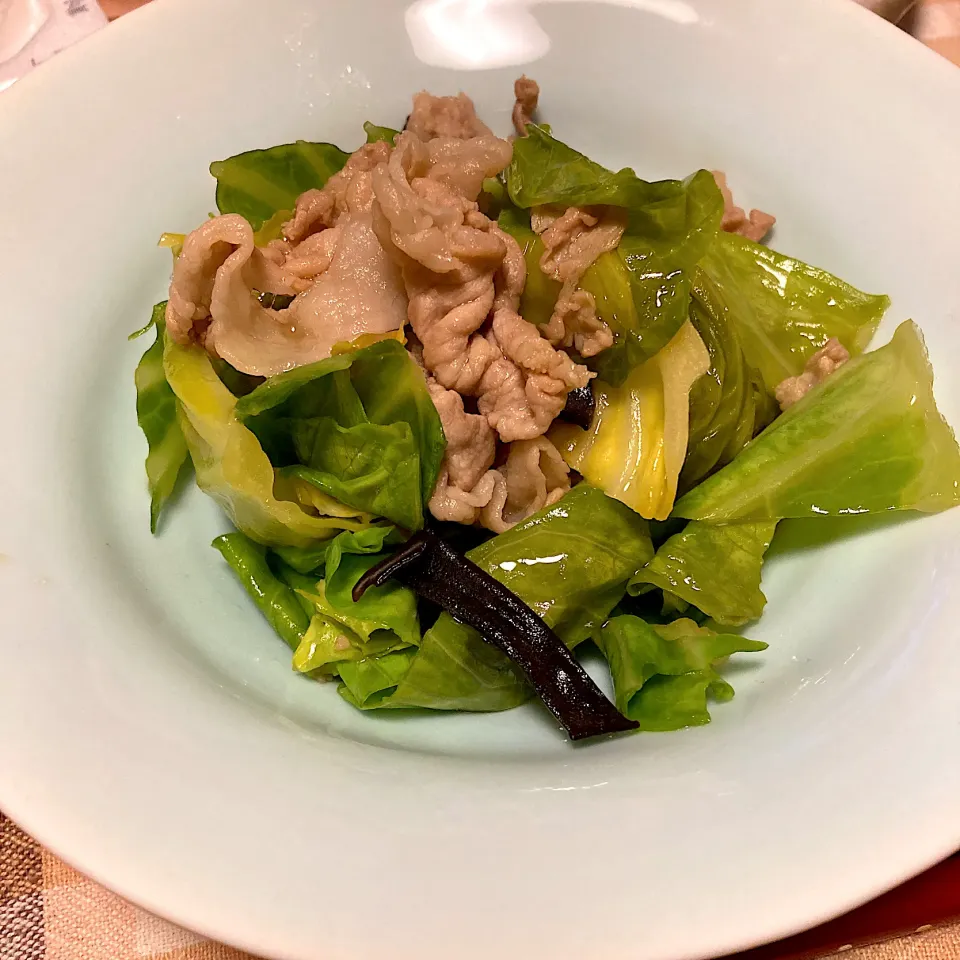 豚キャベツ|あさかさん