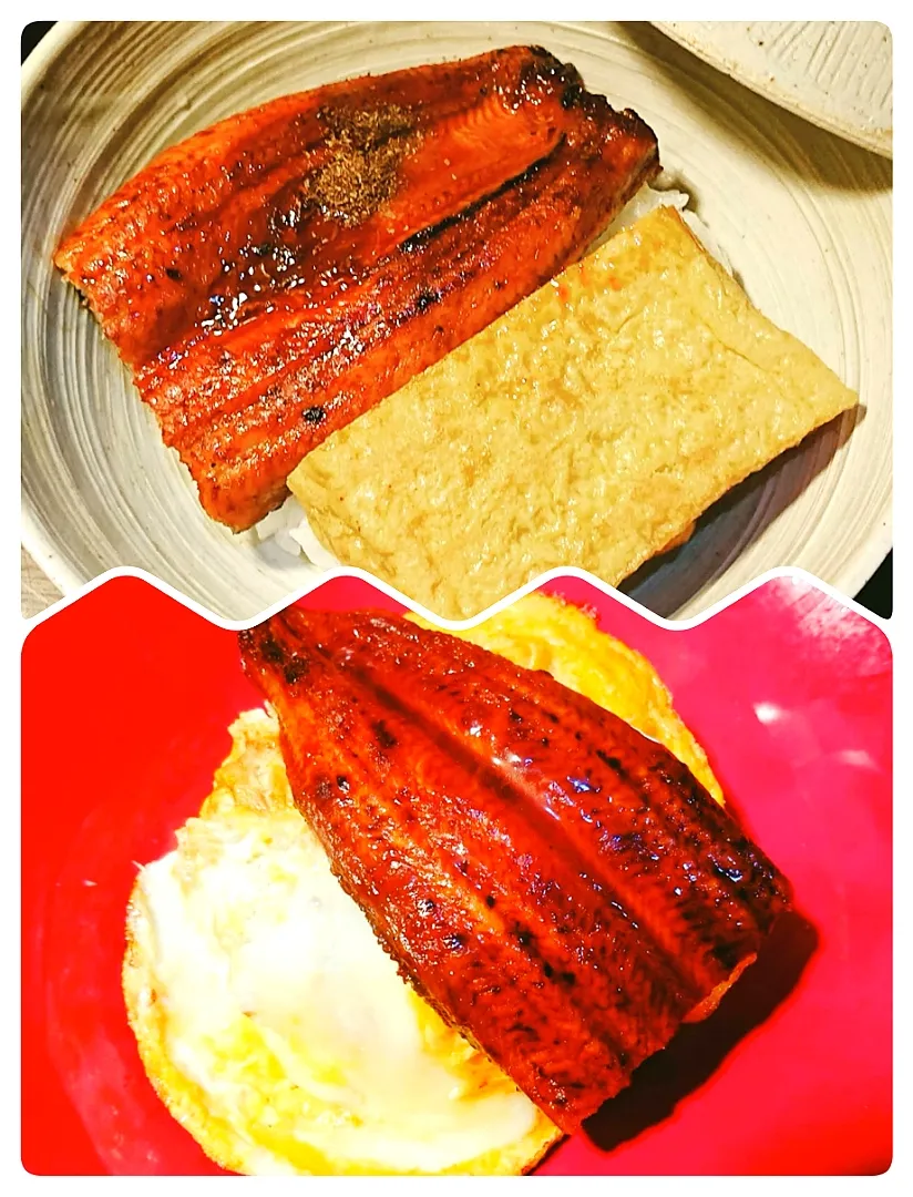 うなたま丼２種作りました〰️😋卵焼きに鰻載せ&厚焼き玉子と鰻〰️😁|quitaさん