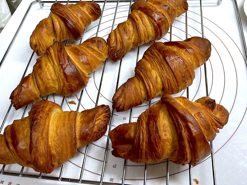 クロワッサン🥐|京子さん