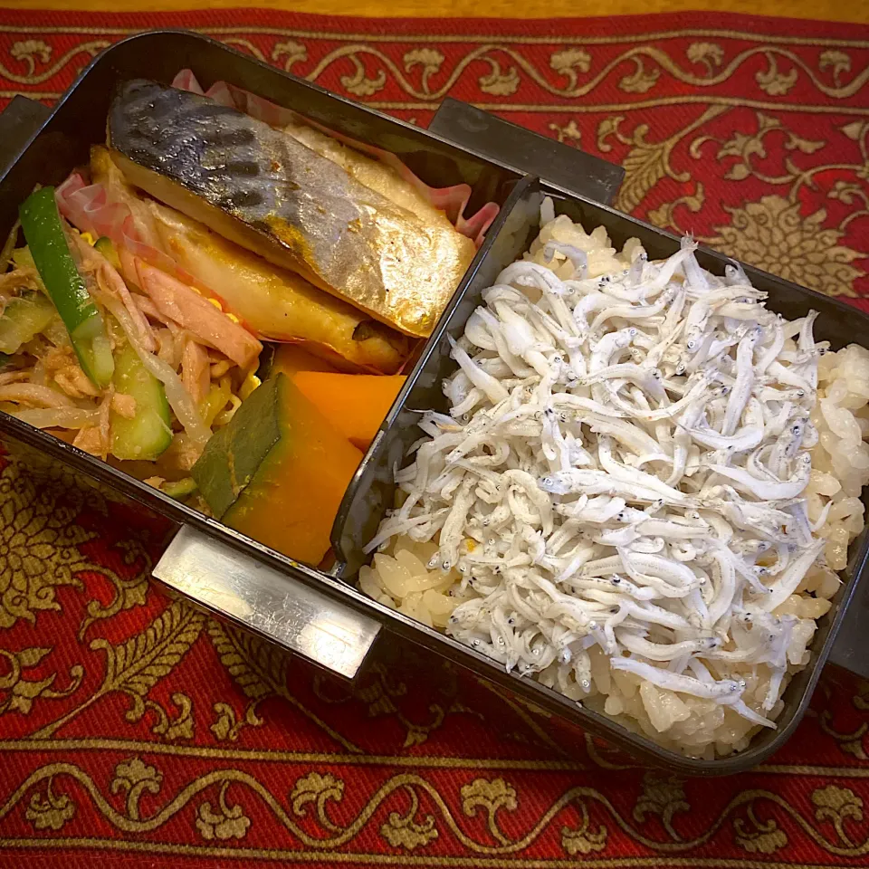 塩サバと、もやしと胡瓜のナムルと、南瓜の煮物と、釜揚げしらすご飯弁当|もえさん